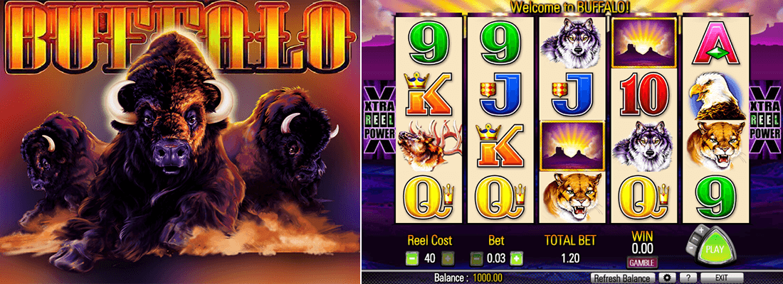 Buffalo slot by Aristocrat, Full Review
